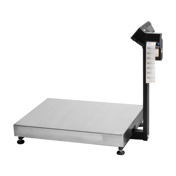Весы товарные с печатью этикеток МАССА-К ТВ-M-300.2-RP3 (600х800)