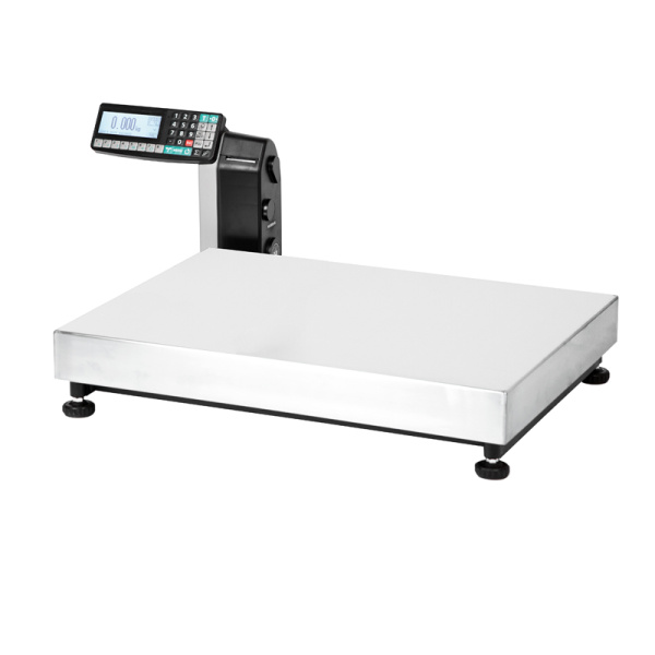 Весы товарные с печатью этикеток МАССА-К ТВ-M-150.2-RL1 (600х800)