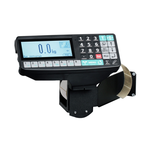 Весы товарные с печатью этикеток МАССА-К ТВ-S-15.2-R2P3 (395х520)