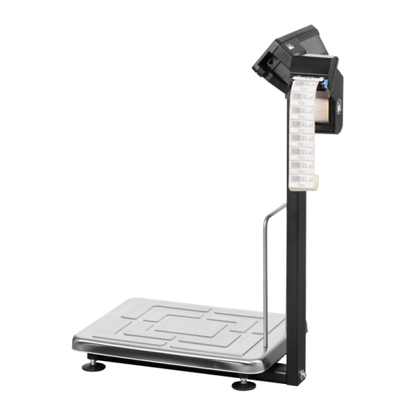 Весы товарные с печатью этикеток МАССА-К ТВ-S-32.2-RP3 (395х520)