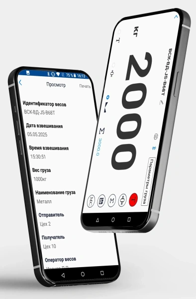 Весы крановые ВСК-5000ВД (Bluetooth)