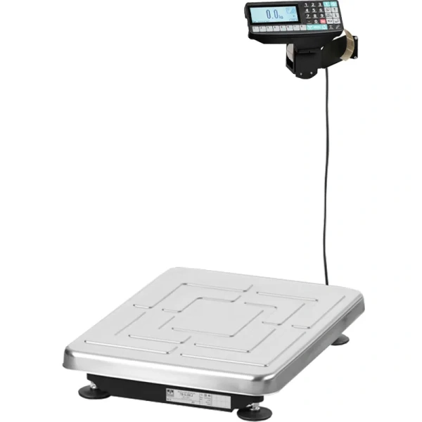 Весы товарные с печатью этикеток МАССА-К ТВ-S-60.2-RP1 (395х520)