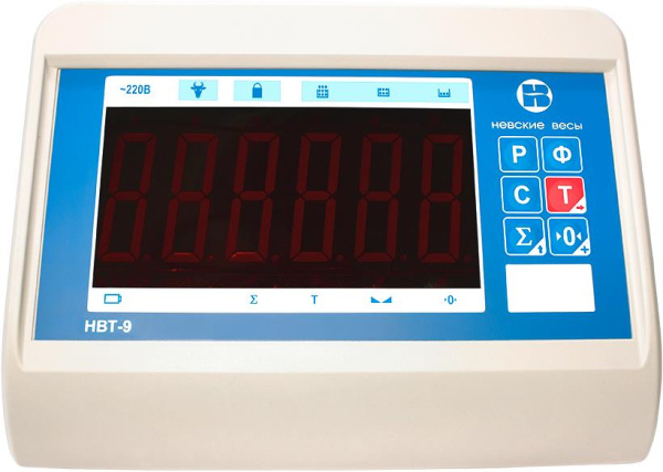 Весы платформенные ВСП4-300.2Н9