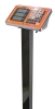 Весы товарные Shtapler PW 800 60*80 (складная стойка)