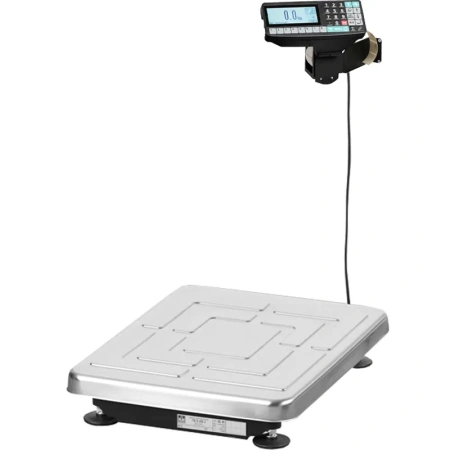 Весы товарные с печатью этикеток МАССА-К ТВ-S-15.2-RP1 (395х520)