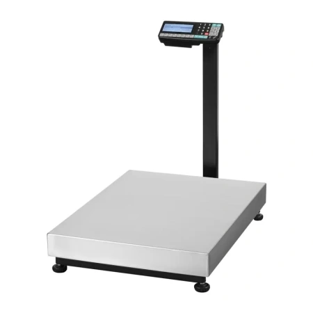 Весы торговые напольные МАССА-К ТВ-M-300.2-RA3 (600х800)