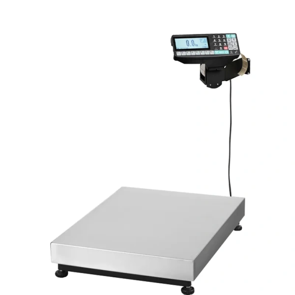 Весы товарные с печатью этикеток МАССА-К ТВ-M-600.2-RP1 (600х800)